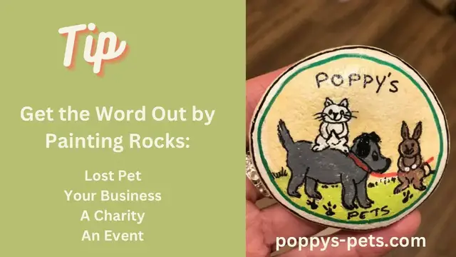 Video thumbnail for Quick Tip: Get Your Lost Pet, Rescue, Website known.