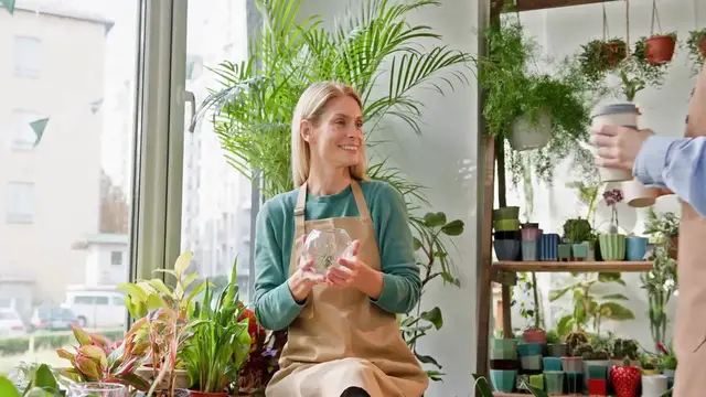 Video thumbnail for Low-Maintenance Indoor Plants for Busy People