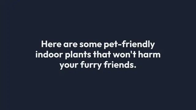 Video thumbnail for Pet-Friendly Indoor Plants