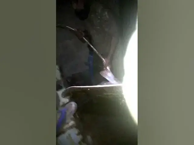 'Video thumbnail for Ray fish_aziz &|| Naseer baloch||#fishingfun #Rayfish #karachifishing'