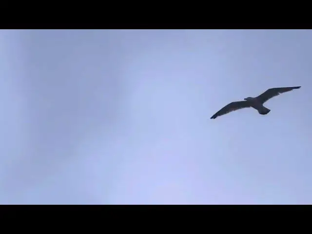 'Video thumbnail for Sea mist in lytham Saint Annes'