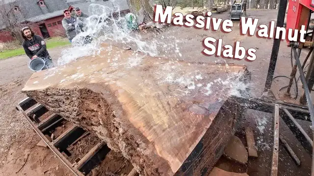Video thumbnail for matthew cremona: giant michigan walnut log milled with slabmaster!
