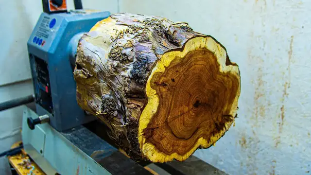 Video thumbnail for Woodturning - Burl Yew Log to Vase