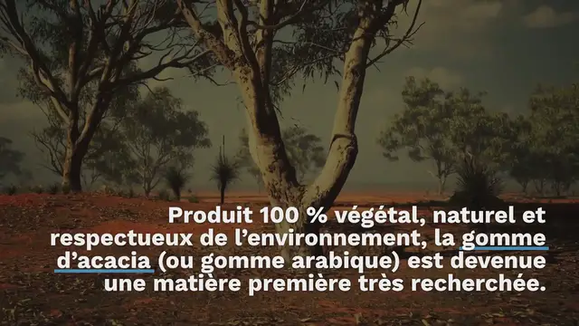 Video thumbnail for La gomme arabique : la gomme issue de l’acacia