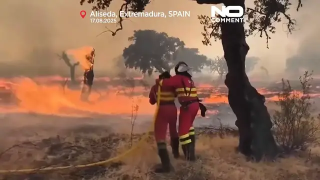 'Video thumbnail for Spain expands firefighting force as record heat drives wildfires'