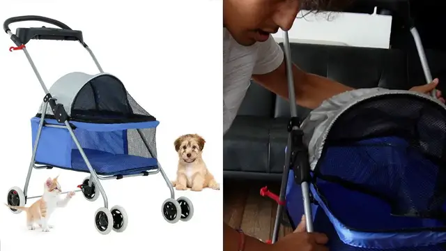 'Video thumbnail for Blue BestPet Pet Stroller 4 Wheels Review'