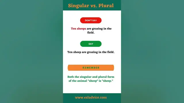 Video thumbnail for Common Mistakes: Numbers #04 || Singular/Plural || English Grammar || Spoken English || ESL Advice