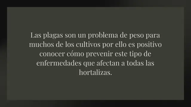 Video thumbnail for Control y conocimiento de las plagas del tomate