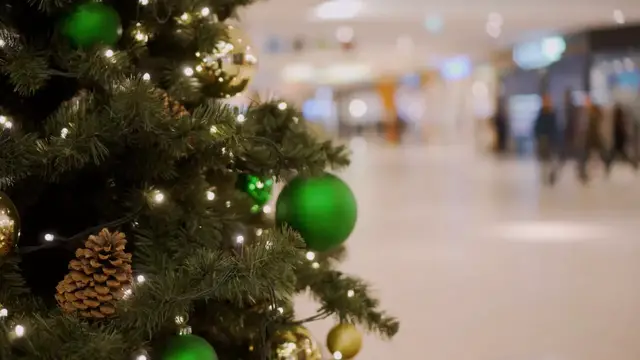 Video thumbnail for How Trump’s tariffs have spiked the cost of Christmas trees