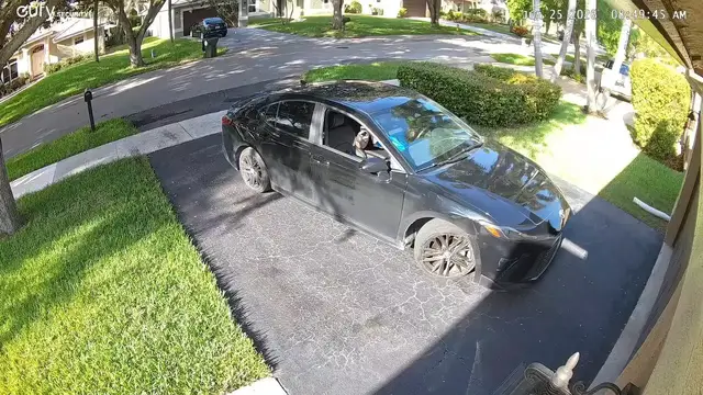 Video thumbnail for Father's Day Flop