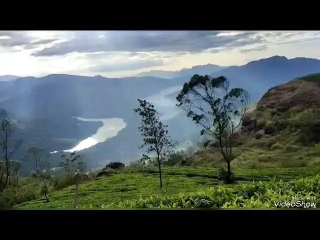 Video thumbnail for sri lankan traditional tea plantation and economic contribution