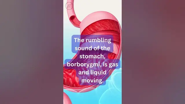 Video thumbnail for Fun Facts About The Digestive System Know Your Guts Secrets#facts #funfacts #digestivesystem #news