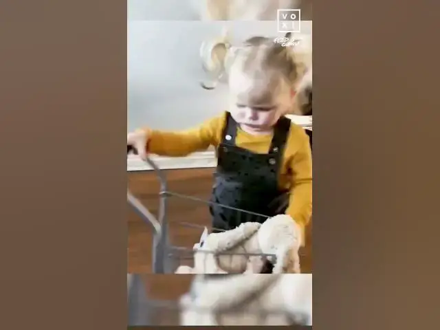 Video thumbnail for tag your sister😔😔 #trendingshorts #youtubeshorts #love #sister