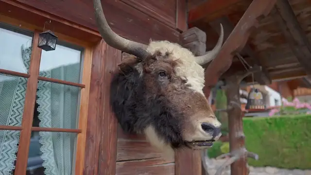 'Video thumbnail for Farmhouse Style Decor'