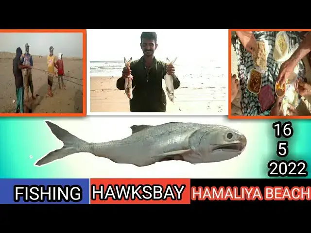 'Video thumbnail for hawksbay hamaliya beach|| KARACHI|| Amazing hand fishing video_16-5-2022#fishing video#hawksbay'
