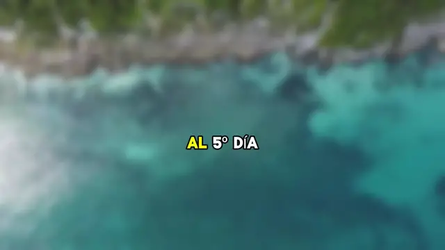Video thumbnail for El día del padre, mi hijo le regaló una camioneta de 600 mil pesos