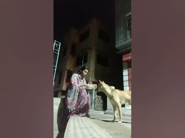 'Video thumbnail for Giving him treat and medicine. My office buddy 😇'