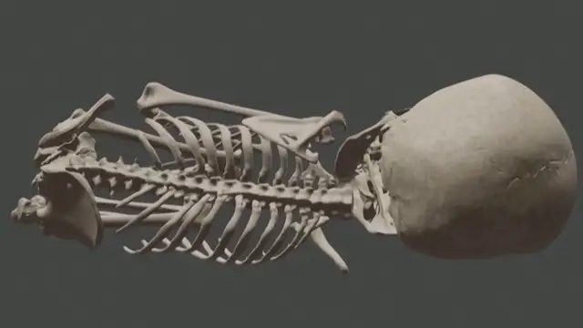 Video thumbnail for Is This The Oldest Known Human Burial Site?