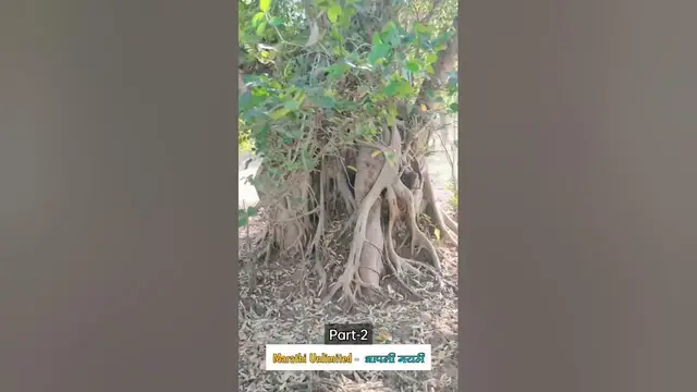 'Video thumbnail for #nature #shorts #shortsvideo #part2 #reels #adventure'