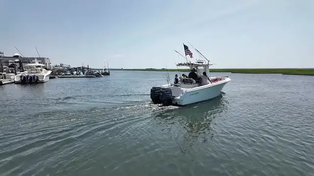 Video thumbnail for New state law will require whale-safe boating education