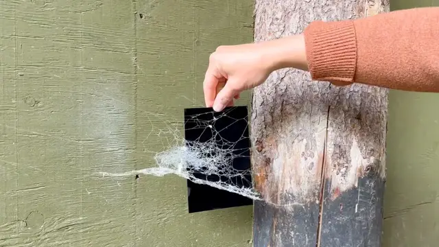 'Video thumbnail for The creepy reason DIYers are collecting real spiderwebs before Halloween'