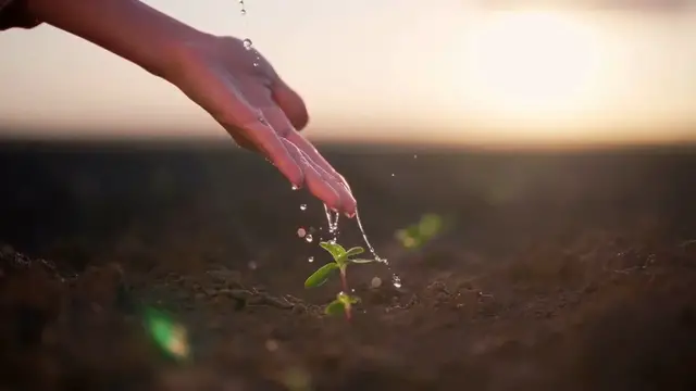 Video thumbnail for Companion Planting for a Thriving Garden