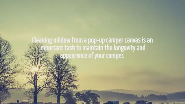 'Video thumbnail for How To Clean Mildew From Pop Up Camper Canvas'