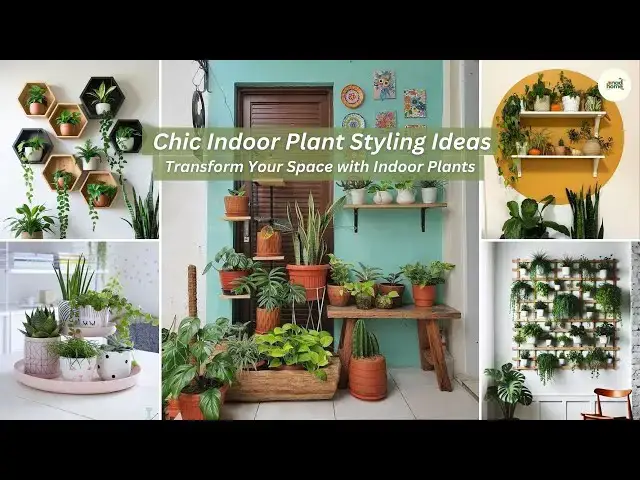 'Video thumbnail for Chic Indoor Plants Decor Ideas | indoor plants home decoration ideas'