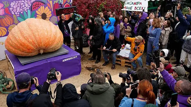 'Video thumbnail for Russian Farmer breaks national record with 969 kilo pumpkin at giant vegetable showdown'
