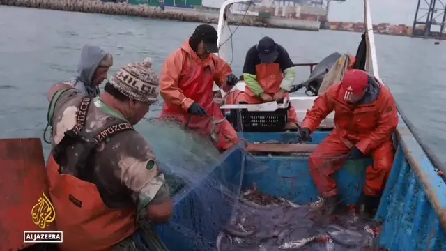 Video thumbnail for Fishermen seeking a lifeline: Chile's small operators call for higher quotas