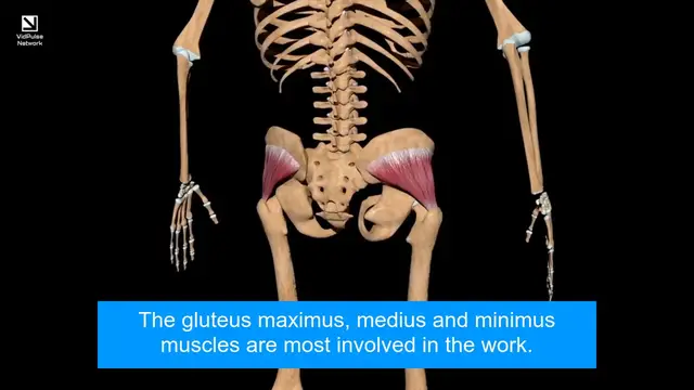 Video thumbnail for Discover the Amazing Changes in Your Body with 100 Glute Bridges Daily!
