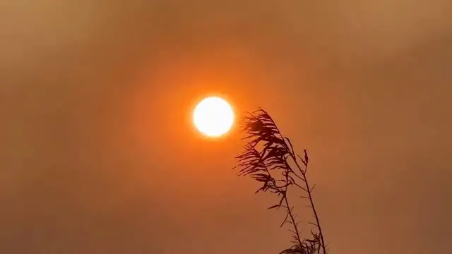Video thumbnail for UK: Smoke From Dovestone Reservoir Fire Spreads Through Greater Manchester.