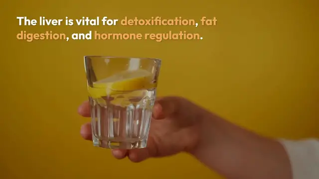Video thumbnail for Essential Liver Health Insights