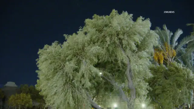 Video thumbnail for US, Los Angeles: Ontario Overnight Inland Empire Santa Ana Winds.