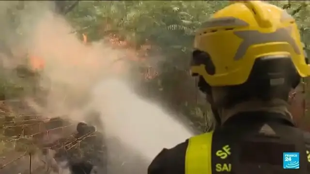 Video thumbnail for Firefighters battle 'contained' Fontainebleau forest fire near Paris amid arson probe