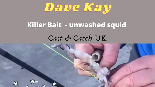 Video thumbnail for Cast & Catch UK - How to Attach Killer Bait Unwashed Squid to the Hook Ready to Beach Fish
