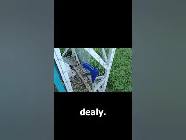 Video thumbnail for Easy Way To Grab Eggs #Shorts