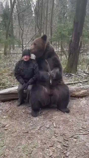 'Video thumbnail for Un ours russe bien élevé - Pas si effrayant qu'on le pense !'