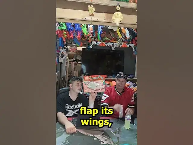Video thumbnail for When Pigs Fly Toy #Shorts