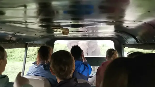 Video thumbnail for Elephant Versus Car Standoff | Wild-ish TV