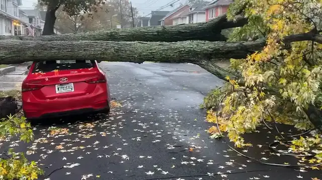 Video thumbnail for NYC Parks crews prepare for downed trees as nor'easter approaches
