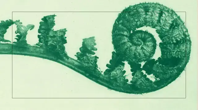 'Video thumbnail for Math is art. Here’s how to appreciate it that way.'