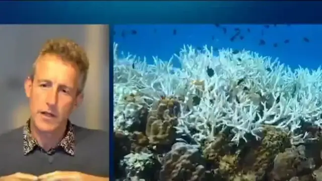 'Video thumbnail for Coral reefs cross survival threshold in Earth’s first major climate tipping point'