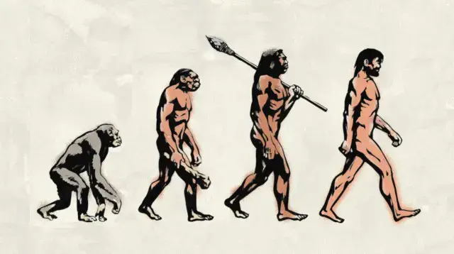 'Video thumbnail for Everything about civilization is changing. Why aren’t our bodies evolving?'