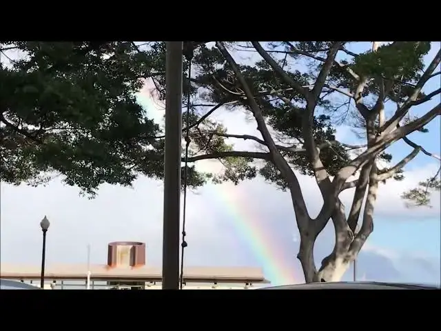 Video thumbnail for Rainbow in the city