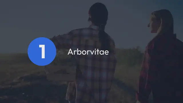 Video thumbnail for Best Privacy Shrubs for Home