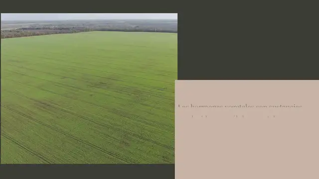 Video thumbnail for Aplicación de las hormonas vegetales en los cultivos