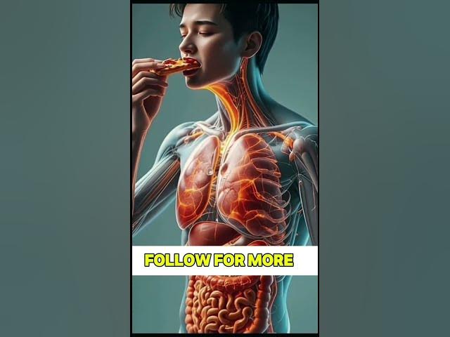 Video thumbnail for agar aap 2 Hafte ke liye sugar Chhod De to kya hoga #shrtsvideo #utubeshorts #virshorts #viral