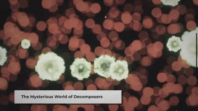 Video thumbnail for Examples of Decomposers in the Ocean Ecosystem: Vital Guardians of Balance