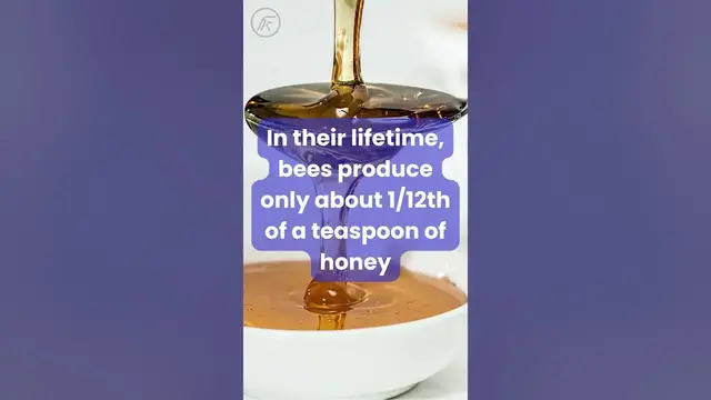 Video thumbnail for Fun Facts About Bees From Honey to Wonder  #facts #funfacts #bees #animals #youtubeshorts